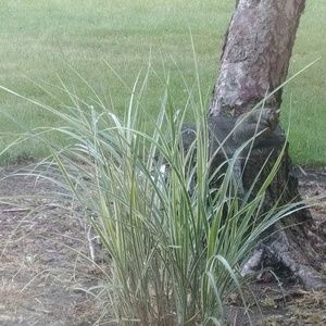 Meet your Posher, Franzi